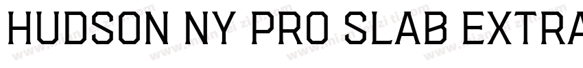 Hudson NY Pro Slab Extra Light字体转换